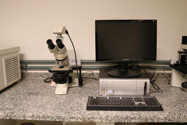 Microscópio de laboratório com iluminação LED (Leica, DM 1000 LED)